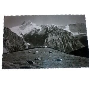 1950s Grindelwald Switzerland Great Western‎ Sugar Co Denver Real Photo Postcard